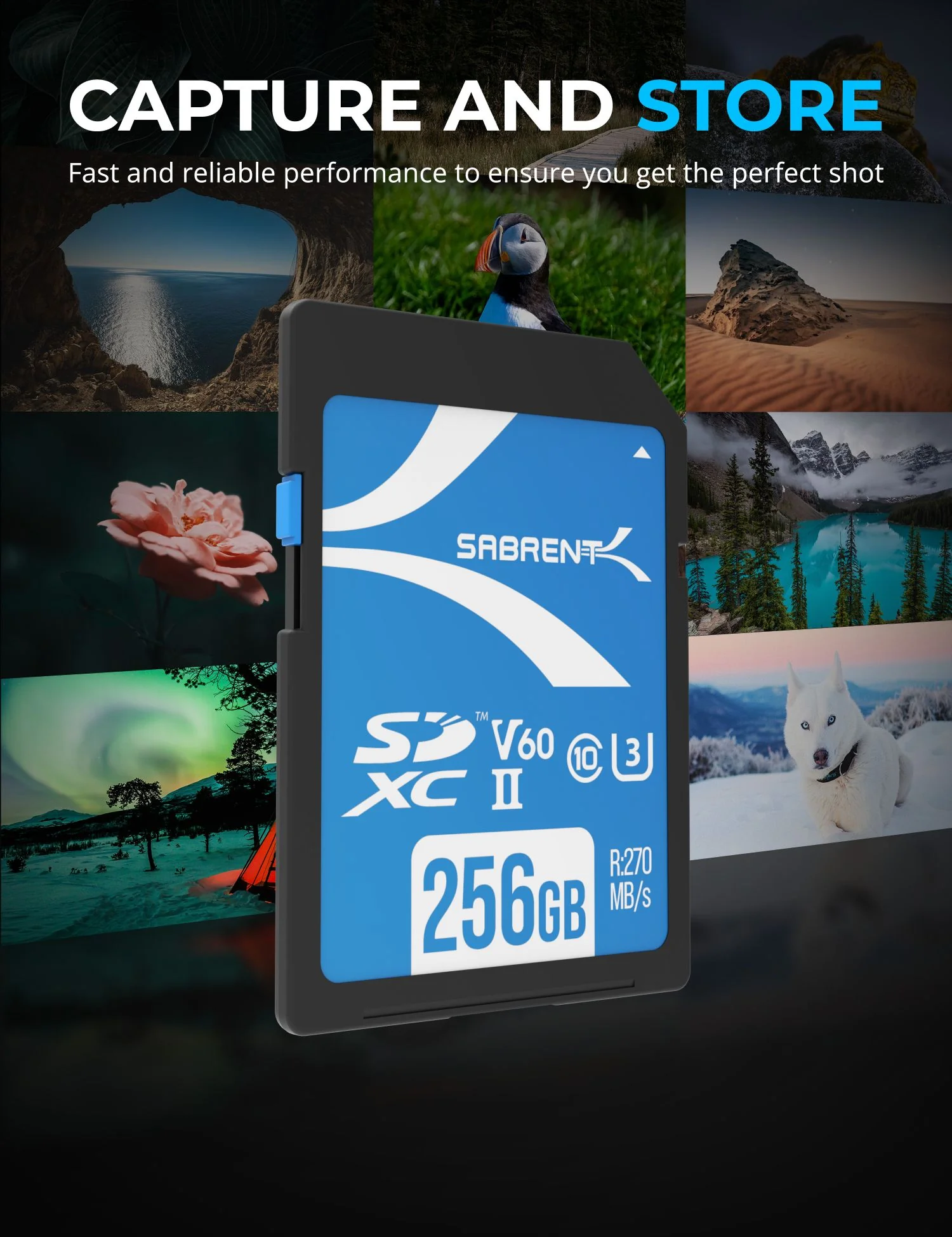 Rocket V60 SD UHS-II Memory Card - Image 2
